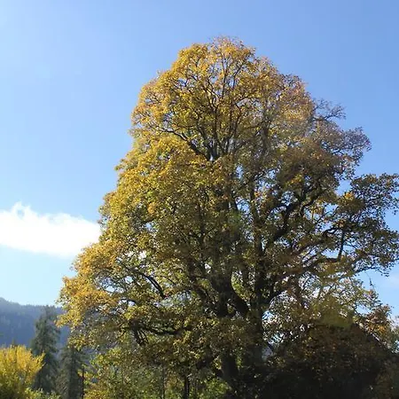 Sonnwendhof Pensión