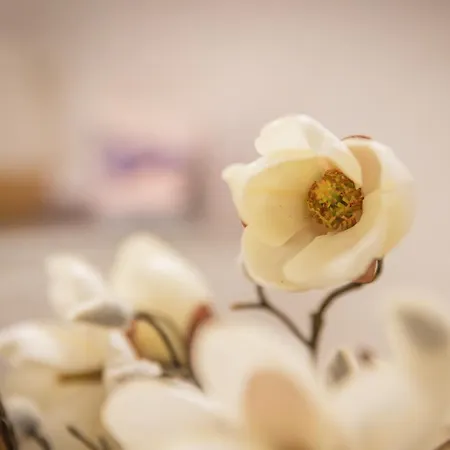 Sonnwendhof Konukevi