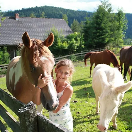 Konukevi Sonnwendhof Ramsau am Dachstein