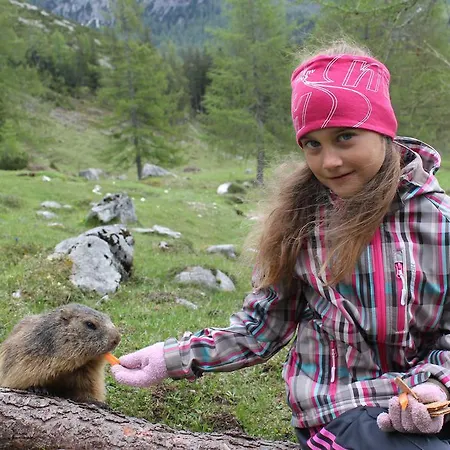 Pensión Sonnwendhof Ramsau am Dachstein