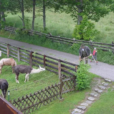 Sonnwendhof Ramsau am Dachstein