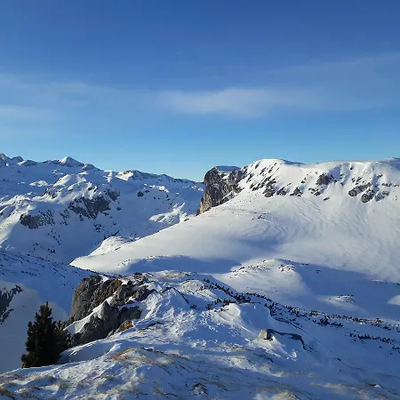 Konukevi Sonnwendhof