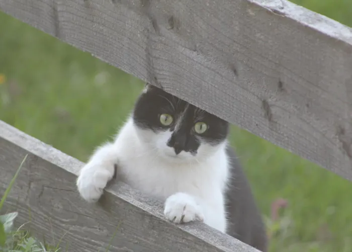 Guest house Sonnwendhof