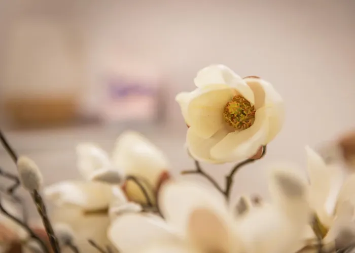 Sonnwendhof Guest house