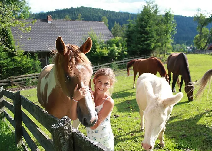 Guest house Sonnwendhof Ramsau am Dachstein