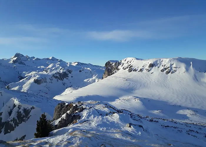 Guest house Sonnwendhof